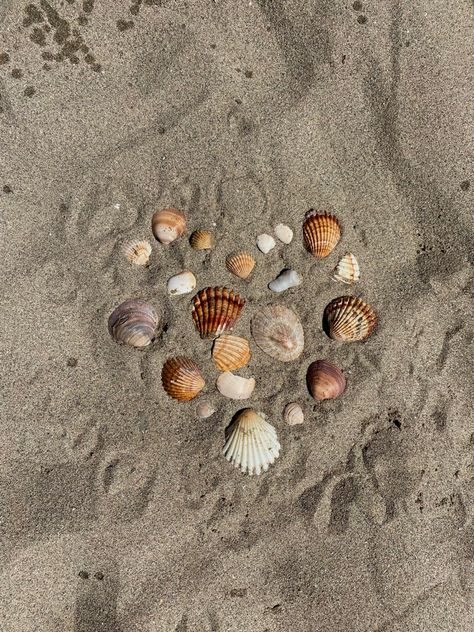 shell, beach aesthetic beach day, travel aesthetic, travel activities, travel inspo, summer, vacation aesthetic Beach Filler Photos Instagram Aesthetic, Beach Getaway Aesthetic, Beach Ig Aesthetic, Simple Beach Aesthetic, Aesthetic Beach Activities, Summer Beach Day Aesthetic, Beach Pictures Friends Aesthetic, Beach Activities Aesthetic, Beach Ig Feed