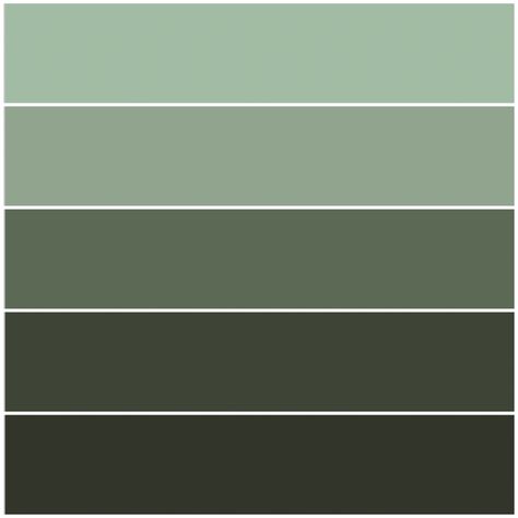 Dark Green Shades Colour Palettes, Pale Forest Green, Muted Green Palette, Dark Green Colour Pallete, Muted Green Colour Palette, Dark Academia Color Palette Green, Sage Green Swatch, Green Colors Shades, Muted Green Aesthetic