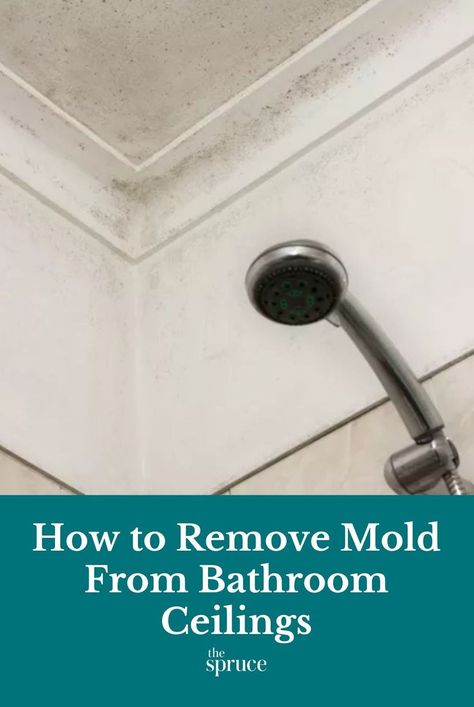 Bathroom Mold Cleaner, Cleaning Bathroom Mold, Mold On Bathroom Ceiling, Bathroom Ceilings, Remove Mold From Shower, Clean Black Mold, Bathroom Mold Remover, How To Remove Mold, Tiled Bathroom