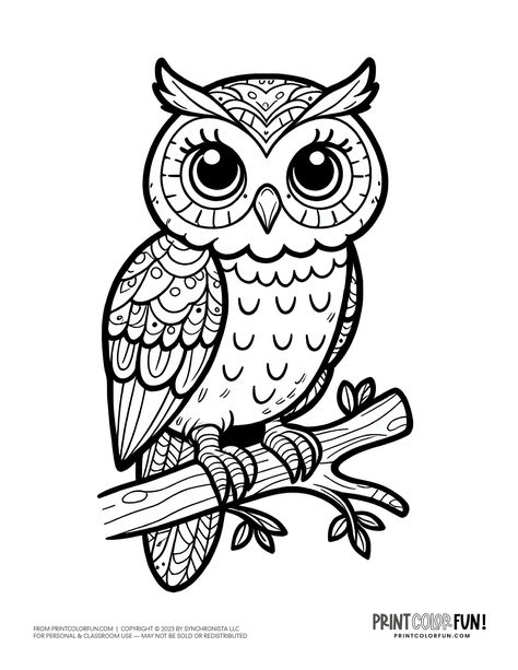 Owl Character Art, Popular Coloring Pages, Owl Coloring Page, Owl Coloring, Owl Designs, Owl Coloring Pages, Owl Card, Owls Drawing, Owl Cartoon