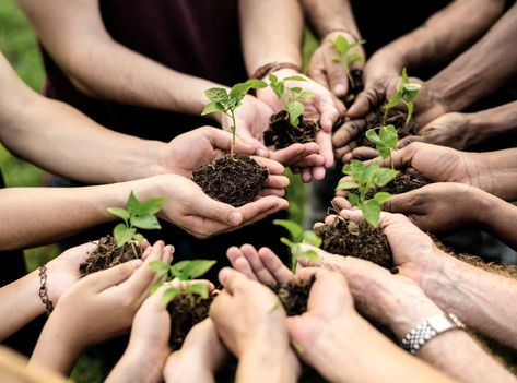 environmental nonprofits organizations | Green Dreamer Podcast on Sustainability and Regeneration Earth Shoes, Environmental Conservation, Photo Grouping, Tree Service, Lush Green, Earth Day, Aerial View, Trees To Plant, Agriculture