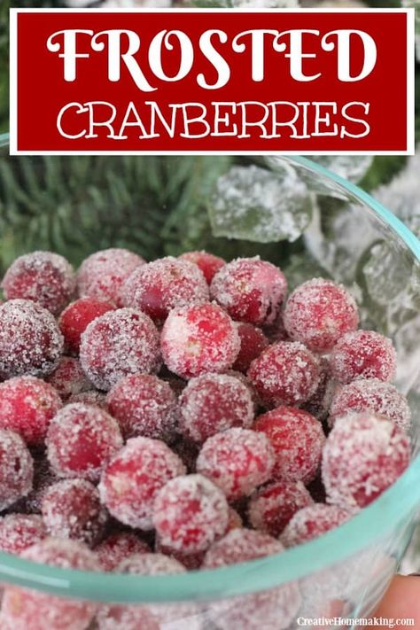 Frosted Cranberries, Hot Fudge Cake, Hot Chocolate Fudge, Sugared Cranberries, Single Serve Desserts, Male Birthday, Slow Cooker Desserts, Keto Friendly Desserts, Frozen Cranberries