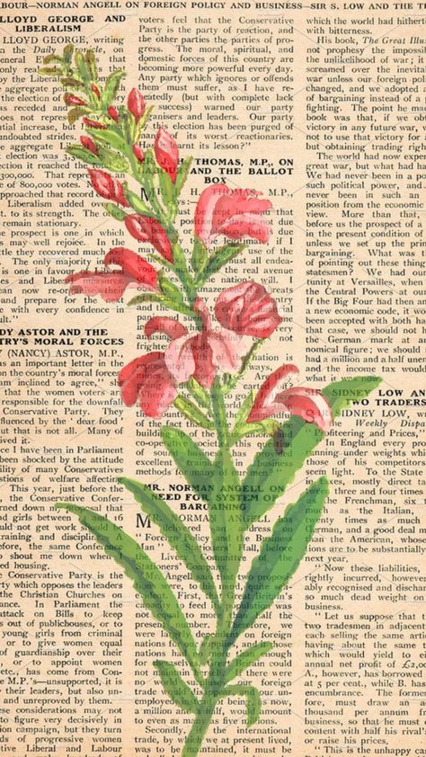 floral newspaper Flower Newspaper, Sketchbook Nature, Pretty Posters, Newspaper Background, Newspaper Poster, Gcse Art Sketchbook, Newspaper Art, Gcse Art, Painted Books