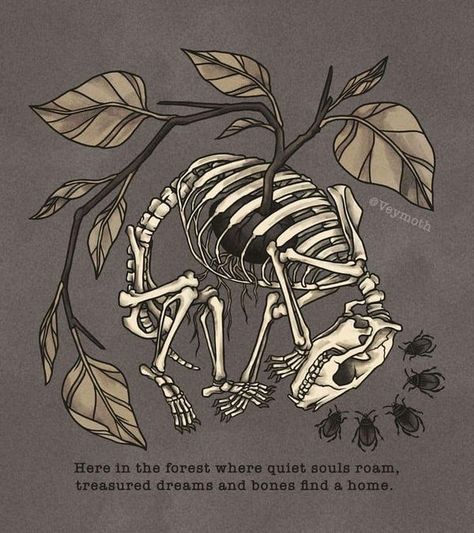 Culture Aesthetic Art, Vulture Culture Aesthetic, Goblincore Tattoo, Dark Naturalism Aesthetic, Bone Drawing, Animal Skeleton, Culture Aesthetic, Nature Poem, Goblincore Aesthetic