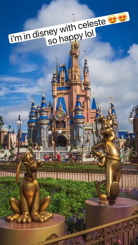 Disneyland Vision Board, Disney Magic Kingdom Pictures, All Things Disney, Disney Vision Board, Magic Kingdom Aesthetic, Disneyworld 2024, Disney Workd, Magic Kingdom Pictures, Disney World Fotos