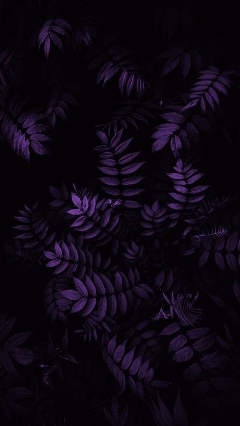 Purple Plant Wallpaper, Purple Leaves Wallpaper, Wallpaper Hitam Aesthetic, Polos Wallpaper, Hitam Aesthetic, Hp Wallpaper, Leaves Wallpaper Iphone, Wallpaper Hitam, Dark Purple Wallpaper