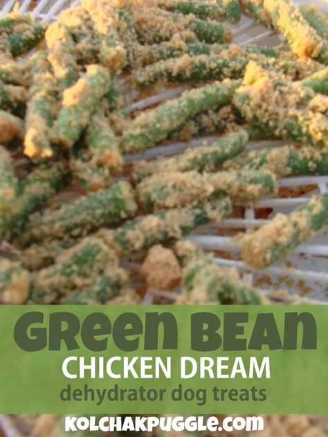 Green Bean Chicken Dehydrator Dog Treat Diy Dehydrator, Green Bean Chicken, Dehydrator Dog Treats, Chicken Dog Treats, Dog Treat Recipe, Dog Biscuit Recipes, Easy Dog Treats, Doggie Treats, Animal Ideas