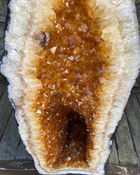 We have more Citrine geodes now listed 💜 Spectacular! Some really lovely ones 🔮😍💛 Some magical and truly unique fabulous pieces - take a look Here are just a few pics of new stock Delivery only takes a few days to reach you, prices to suit all budgets ☺️ Click for to see citrine (burnt amethyst) geode pairs👇🏻💜 https://jewelcrystals.co.uk/product-category/geodes/citrine-geodes/ The website has all prices, sizes etc so take a look Follow / like our page for regular stock updates @je... Citrine Geode, Orange Honey, Amethyst Geode, Lemon Quartz, Quartz Crystals, Look Here, Large Crystals, French Inspired, Crystal Cluster