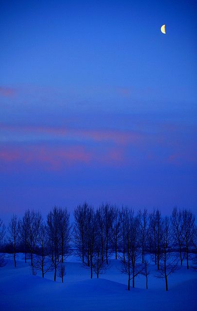 Morning twilight Rhapsody In Blue, Moon Photography, Blue Hour, Winter Wonder, Winter Scenes, Blue Aesthetic, Sunrise Sunset, Beautiful World, Night Skies