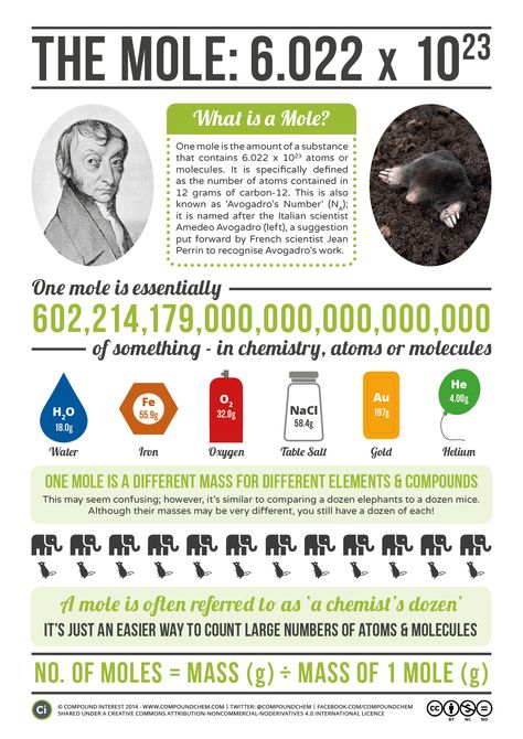 Avogadro & The Mole Mole Day, الجدول الدوري, Chemistry Education, Chemistry Classroom, High School Chemistry, Teaching Chemistry, Chemistry Lessons, Chemistry Notes, Chemistry Class