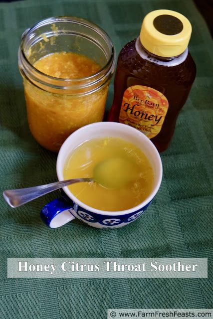 Honey Citrus Throat Soother | http://www.farmfreshfeasts.com/2017/10/honey-citrus-throat-soother.html Honey Lemon Throat Soother, Teavana Tea Recipes, Throat Soother, Ginger Lemon Honey Tea, Honey For Sore Throat, Throat Tea, Teavana Tea, Marietta Ohio, Ginger Honey Lemon