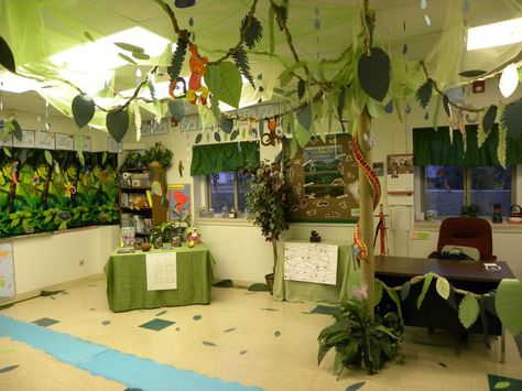 Another view of classroom decorated with Brazil/Rainforest theme Rainforest Preschool, Brazil Rainforest, Rainforest Classroom, Preschool Jungle, Jungle Theme Classroom, Rainforest Theme, America Theme, Classroom Transformation, Classroom Display