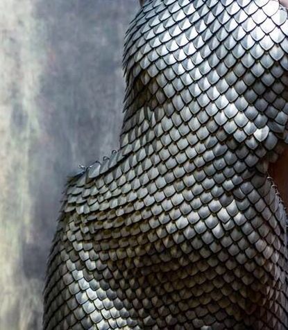 Dress of metal scales Yennefer Of Vengerberg, Joan Of Arc, Throne Of Glass, Chain Mail, A Song Of Ice And Fire, Dragon Age, Dark Fantasy, Scales, Dive In