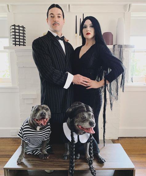 Halloween Costumes Addams Family, Family Dog Costumes, Halloween Costume Winners, Cute Couples Costumes, Addams Family Costumes, Pitbull Pictures, Halloween Costume Idea, Cute Couple Halloween Costumes, Pet Halloween Costumes