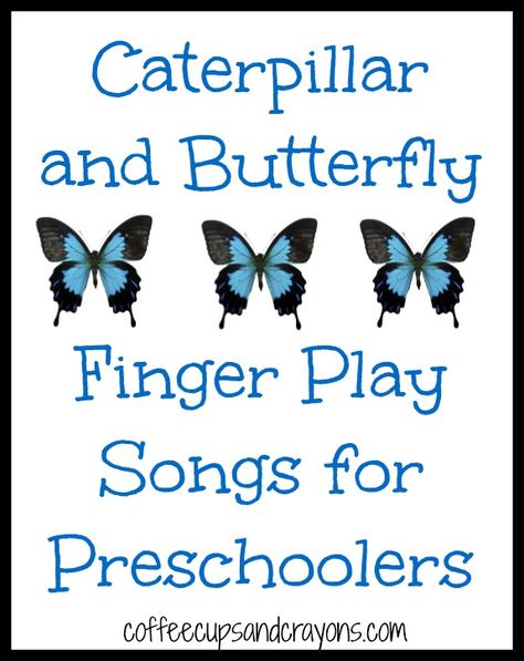 Caterpillar and Butterfly Finger Play Songs from Coffee Cups and Crayons Finger Play Songs, Songs For Preschoolers, Caterpillar And Butterfly, Kindness For Kids, Butterfly Songs, Insects Preschool, Butterflies Activities, Bugs Preschool, Circle Time Songs