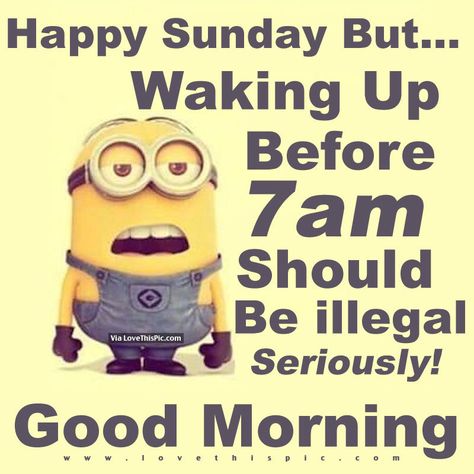 Happy Sunday But...Waking Up Before 7am Should Be Illegal, Seriously! Good Morning Quotes About Sunday, Funny Sunday Memes, Quotes Sunday, Sunday Humor, Good Morning Sunday Images, Sunday Morning Quotes, Sunday Quotes Funny, Bear Quote, Good Morning Funny Pictures