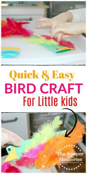 God Cares For The Birds And Flowers Craft, Bible Story Art, Preschool Steam, Summer Crafts For Toddlers, Toddler Math, Bird Craft, Homeschooling Preschool, Easy Toddler Crafts, Sensory Activities Toddlers