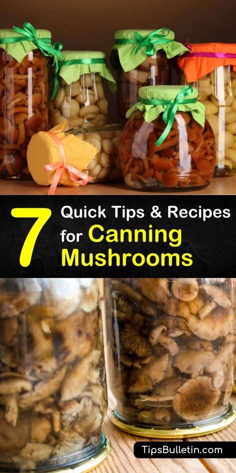 When it comes to pickling or canning mushrooms half-pint and pint jars work the best. Before preserving store-bought or wild mushrooms, wash in cold water, drain, and then trim the stems flush with the caps. #mushrooms #canning #pickling Canning Mushrooms, Recipes For Canning, Water Bath Canning Recipes, Wild Mushroom Recipes, Health Benefits Of Mushrooms, Easy Canning, Low Acid Recipes, Home Canning Recipes, Canning Vegetables