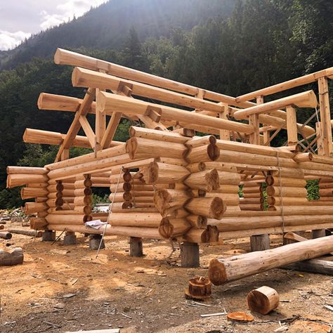 Here's the finished log home we built for a great client in #BurnsLake. This western red cedar log home is a custom plan with diamond notched - staggered log flares, making each corner unique.

Contact Cascade Handcrafted for a Free Quote on a beautiful handcrafted log home! 1-604-703-3452

#craftsman #westernredcedar #customloghomes #customdesigns #loghomebuilders #loghomes #logcabins #worldwide #CascadeHandcraftedLogHomes Prefab Log Homes, Log Cabin Home Kits, Log Homes Exterior, Log Home Interior, Log Home Builders, Log Home Designs, Log Home Floor Plans, Log Home Plans, Log Cabin Designs