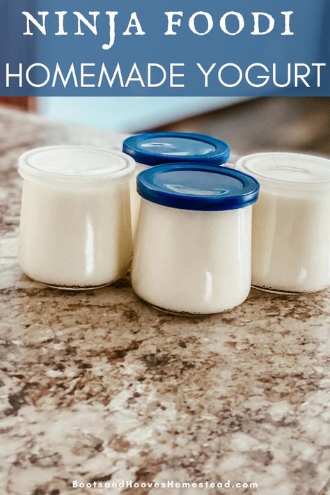 Ninja Foodi Yogurt, Ninja Cooking System, Homemade Yogurt Recipes, Diy Yogurt, Ninja Cooking System Recipes, Make Your Own Yogurt, Make Greek Yogurt, Homemade Granola Healthy, Homemade Greek Yogurt