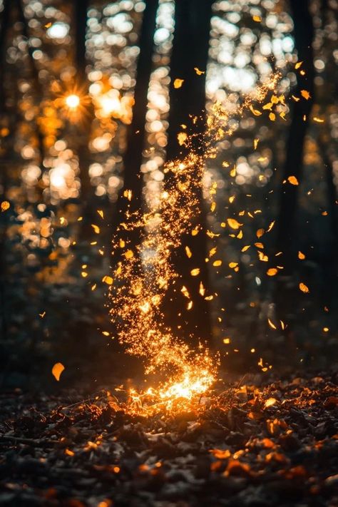 "Master the art of Golden Hour Magic and create stunning visuals! 🌄📸 #GoldenLight #PhotographySkills #GoldenHourLovers" Golden Hour Forest, Autumn Core, Golden Hour Aesthetic, College Photography, Golden Hour Photography, Bedroom Wall Collage, Golden Autumn, Golden Light, Golden Glow