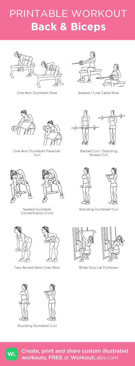 Back & Biceps: my visual workout created at WorkoutLabs.com • Click through to customize and download as a FREE PDF! #customworkout #Bicepsworkout Back And Bis, Back And Bicep Workout, Workout Gym Routine, Workout Labs, Gym Workout Plan For Women, Estilo Fitness, Printable Workouts, Workout Plan For Women, Gym Routine