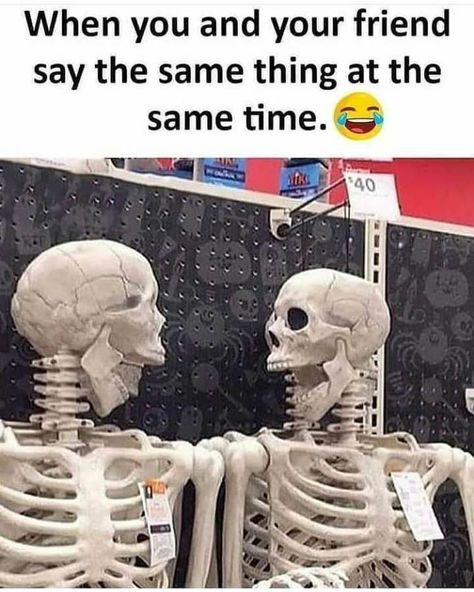 Vojenský Humor, Spooky Memes, National Best Friend Day, Halloween Memes, Best Friend Day, Bff Quotes Funny, Friend Memes, Latest Funny Jokes, Funny Joke Quote