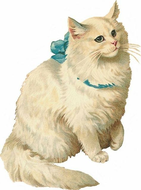 Visuell Identitet, Victorian Scrap, Images Vintage, Clip Art Vintage, Vintage Cat, Cat Illustration, Aesthetic Stickers, Cat Drawing, Art Plastique