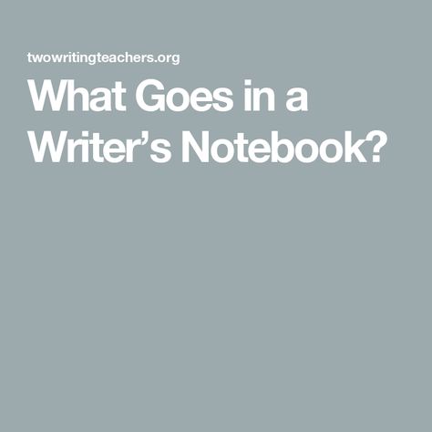 What Goes in a Writer’s Notebook? How To Set Up A Writers Notebook, Writer’s Notebook Ideas, Writers Notebook Set Up, Writers Notebook Aesthetic, Writer Notebook, Writers Notebook, Book Writing, Book Writing Tips, Creative Writing