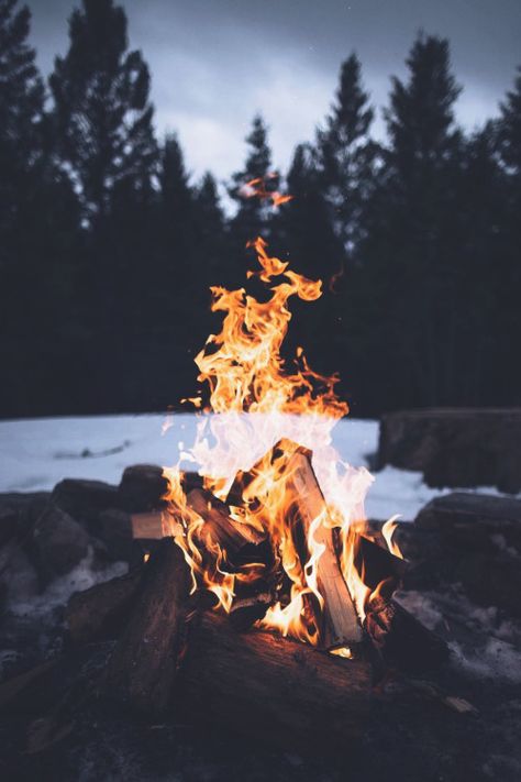 banshy:  Untitled // Bruin Alexander Freedom Photo, Sunset Flowers, Nature Autumn, Camping Aesthetic, Fire Photography, Wallpapers Iphone, Outdoor Wood, Camping Ideas, Summer Winter