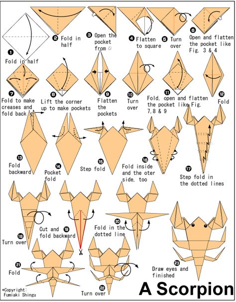 Wow Complex Origami Instructions - http://www.ikuzoorigami.com/wow-complex-origami-instructions/ Origami Scorpion, Origami Návody, Dragon Origami, Origami Shapes, Creative Origami, Origami Diagrams, Tutorial Origami, Origami For Beginners, Origami Dragon