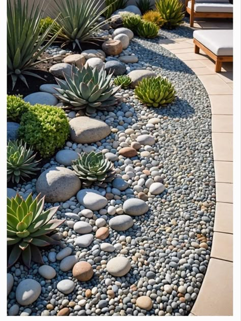 Front Succulent Garden, Landscape With Succulents, Front Garden Inspo Ideas, Rock Garden Succulents, Landscape Courtyard Design, Front Yard Landscaping Cactus, Garden Succulents Ideas, Rock And Succulent Garden, Front Yard Landscaping Ideas Desert