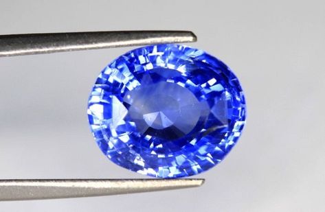 The sapphire's those who have cornflower blue color is called as corn flower blue sapphire. It has intense cornflower blue color Corn Flower Blue Sapphire, Corn Flower Blue, Cornflower Blue Sapphire, Kashmir Sapphire, Corn Flower, Zodiac Signs Aquarius, Flower Blue, Capricorn And Aquarius, Rare Flowers