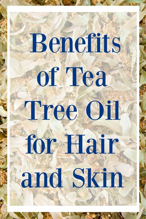 Tea Tree Oil Tea Tree Oil For Hair, Tree Oil Benefits, Tea Tree Oil Hair, Tea Tree Oil Benefits, Benefits Of Tea, Tea Tree Oil For Acne, Oil For Hair, Tea Benefits, Oil Hair