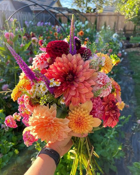 All Posts • Instagram Wedding Floral Floor Arrangements, Delicate Flower Bouquet, Flower Arrangement Inspiration, 2024 Wedding Bouquet Trends, Dalia Core, Zinnia Flower Arrangements, Flower Color Combinations, Hoco Flowers, Orange Flower Bouquet