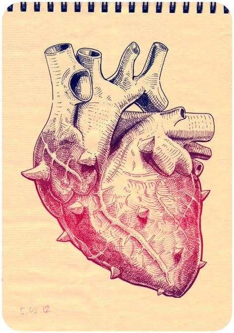 Как раз в преддверии Дня Душевнобольных Heart With Thorns, Anatomical Heart Art, The Human Heart, Heart Tattoo Designs, Medical Art, Anatomical Heart, Human Heart, Beating Heart, Arte Horror