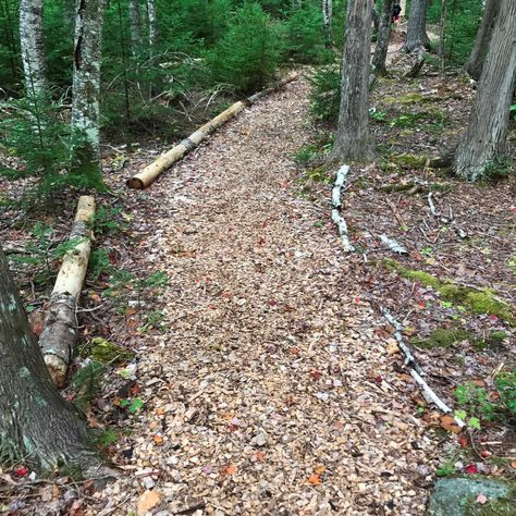 Making Trails In The Woods, Nature Trail Design, Making A Trail In Woods, Trail Marking, Natural Outdoor Playground, Trail Of Two Forests, Types Of Skiing, Trail Ideas, Trail Building