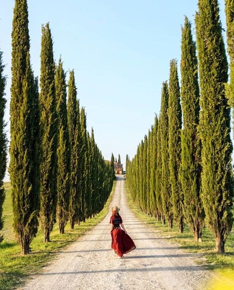 Val d’Orcia, Tuscany Source: Paolo Balsamo, Instagram Toscana Photo Ideas, Tuscany Instagram Pictures, Val D’orcia Tuscany, Tuscany Wedding Photos, Tuscany Photo Ideas, Tuscany Photoshoot, Winery Photoshoot, Vineyard Photoshoot, Tuscany Aesthetic