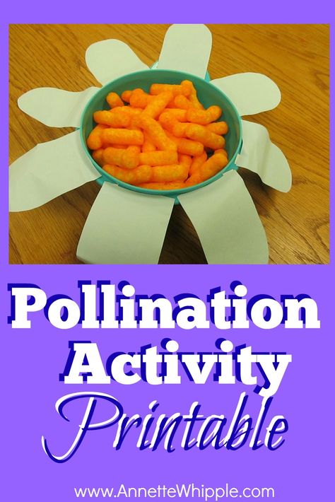 A hands-on science activity that really digs into pollination for children. Plants Activity, Pollination Activity, Pre-k Science, Butterfly Science, Insects Preschool, Bugs Preschool, Bee Activities, Insect Activities, Plant Activities