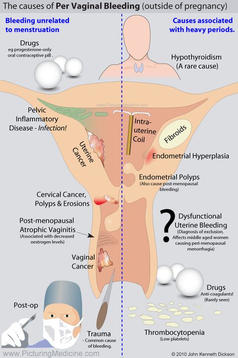 Organ Manusia, Obgyn Doctor, Obstetrics Nursing, Obgyn Nurse, Medical Ultrasound, Nursing Student Tips, Surgical Nursing, Medical Student Study, Medical Surgical Nursing