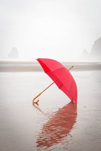 4k Wallpaper Android, Beach Editorial, Umbrella Photography, Cannon Beach Oregon, Original Canvas Painting, Umbrella Art, Red Umbrella, Love Rain, Under My Umbrella