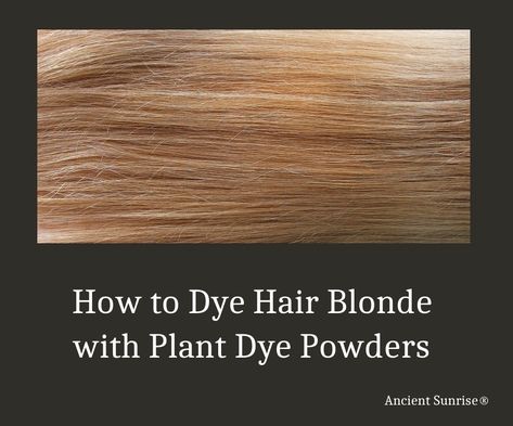 Dye hair blonde naturally with cassia and other plants to get a beautiful color and healthy hair. This article has tips and tricks to help. Dye Hair Blonde, Blonde Henna, Indigo Henna, How To Dye Hair, Dishwater Blonde, Dark Golden Blonde, Hair Dye Tips, Grey Hair Coverage, Lighter Hair