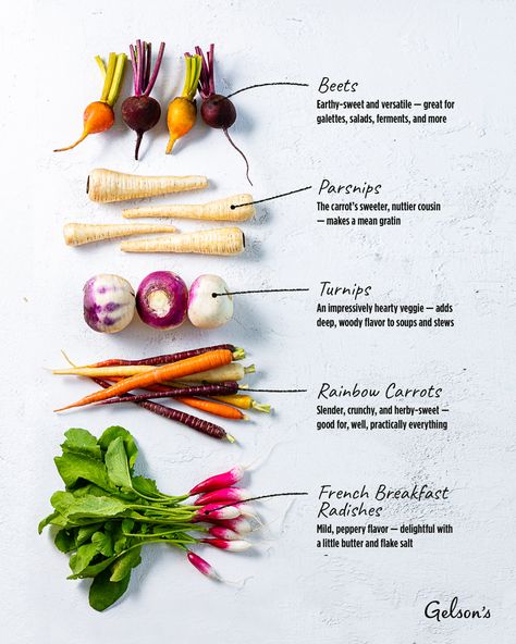 A Home Cook’s Guide to Root Vegetables Root Vegetables List, Rooted Vegetables, Pro Metabolic, Cosy Fall, Ancestral Healing, Tummy Yummy, Recipe Drawing, Not Sleeping, Rainbow Carrots