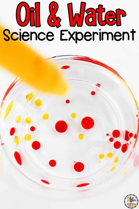 Oil Experiment For Kids, Simple Experiments For Kids, Oil And Water Experiment, Science Expirements, Water Experiments For Kids, Fun Science Activities, Butterflies Classroom, Science Experiments Kids Preschool, Water Science Experiments