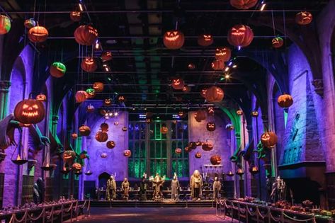 Hogwarts Express Ticket, Harry Potter Pumpkin, Hogwarts Great Hall, Basement Layout, Light Up Pumpkins, First Person Writing, Harry Potter Halloween, Great Hall, Parc D'attraction