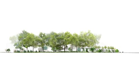 Trees Background Architecture Photoshop, Background Architecture, Architecture Presentation Board, Architecture Background, Architecture Concept Diagram, Architecture Board, Architectural Section, American Architecture, Urban Park