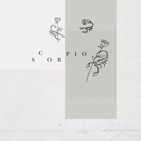 Scorpion Tattoo Feminine Minimalist, Creative Scorpio Tattoo, Scorpio Feminine Tattoo, Scorpio Line Tattoo, Scorpio Word Tattoo, Dainty Scorpio Tattoo, Fineline Scorpion Tattoo, Scorpion Minimalist Tattoo, Scorpio Tattoo Minimalist Symbols