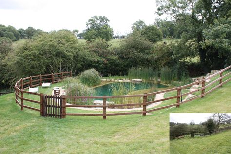 Fence Around Pond, Pond Fence, Swim Pond, Luxury Pools Indoor, Bio Pool, Swimming Ponds, Swimming Pool Pond, Natural Swimming Ponds, Piscina Interior