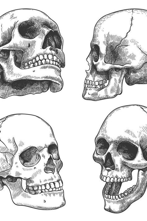 Anatomical Art Sketches, Skull Different Angles, Anatomical Skull Tattoo, Skeleton Head Sketch, Skull Looking Up, Skull Side View Drawing, Skull Angles, Skull Reference Drawing, How To Draw A Skull