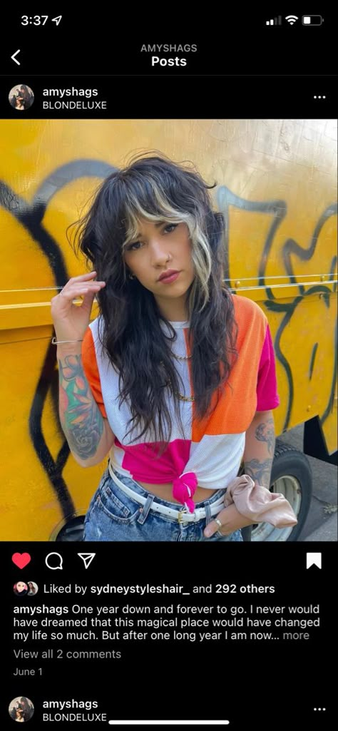 Color Blocking Shag Hair, Shag Split Dye, Long Shag Mullet No Bangs, Peekaboo Bangs Fringes, Colorblock Shag Hair, Peekaboo Color Block Hair, Shag Money Piece Hair, Shag Hairstyles 2023, Shag With Color Block